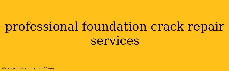 professional foundation crack repair services