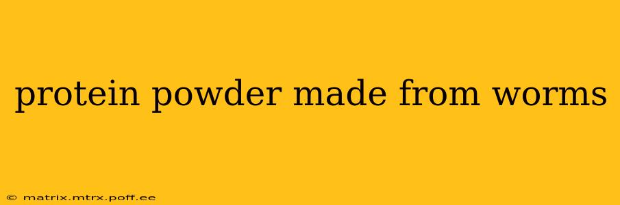 protein powder made from worms