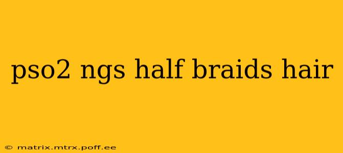 pso2 ngs half braids hair