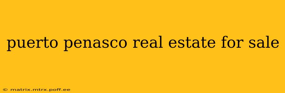 puerto penasco real estate for sale
