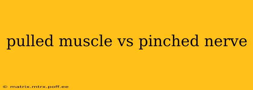 pulled muscle vs pinched nerve