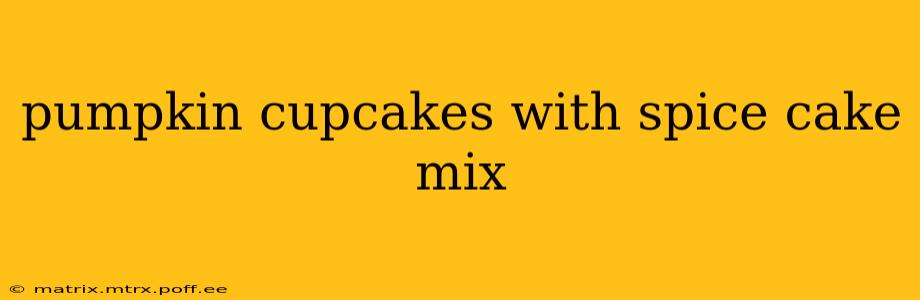 pumpkin cupcakes with spice cake mix