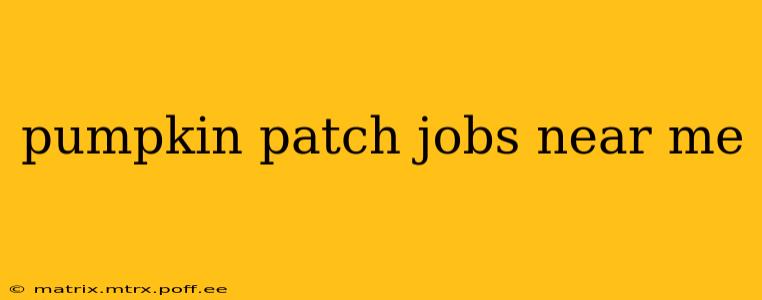 pumpkin patch jobs near me