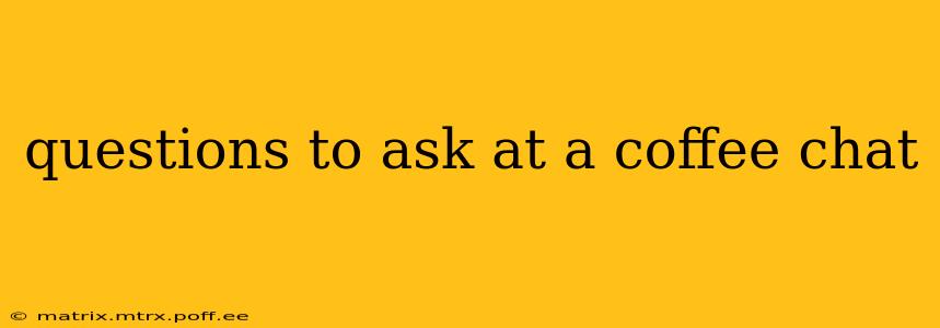 questions to ask at a coffee chat