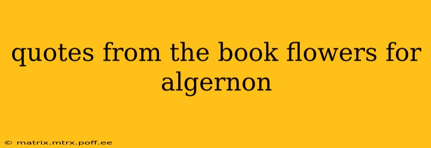 quotes from the book flowers for algernon