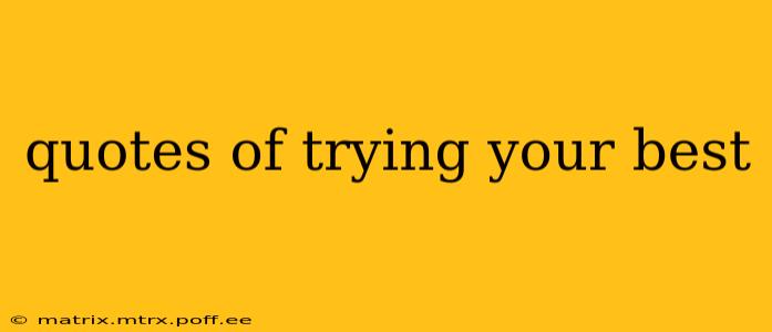 quotes of trying your best