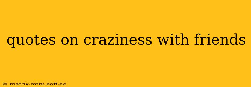 quotes on craziness with friends