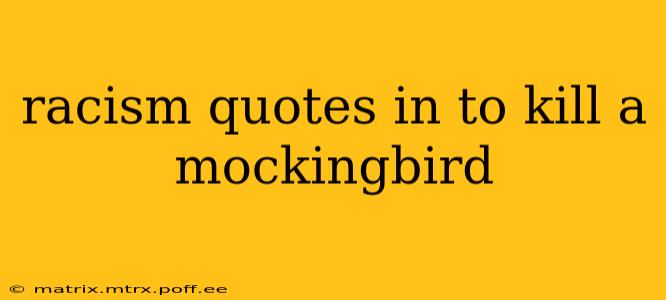 racism quotes in to kill a mockingbird