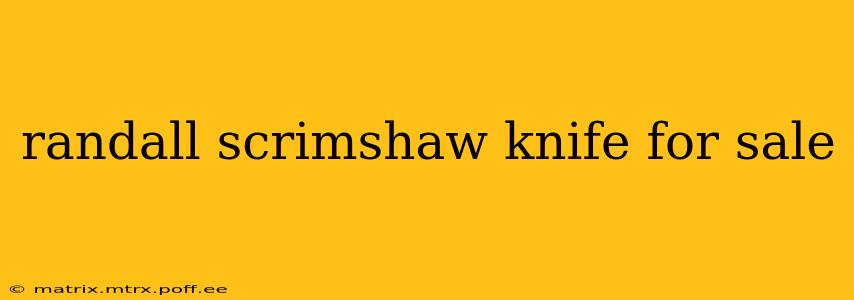 randall scrimshaw knife for sale
