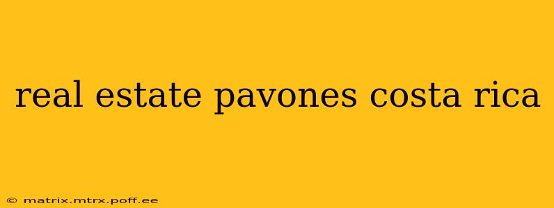 real estate pavones costa rica