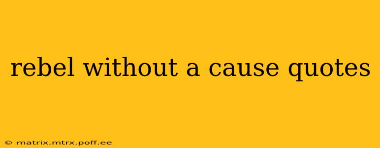 rebel without a cause quotes