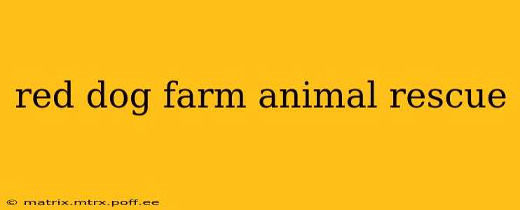 red dog farm animal rescue