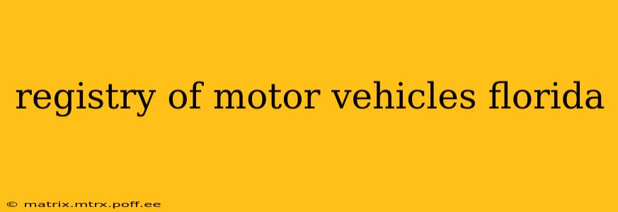 registry of motor vehicles florida