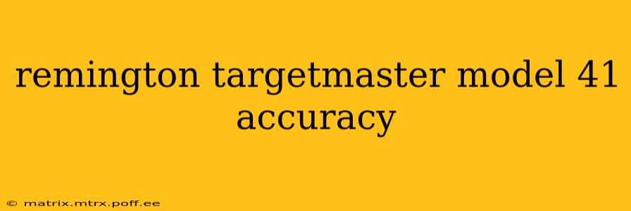 remington targetmaster model 41 accuracy