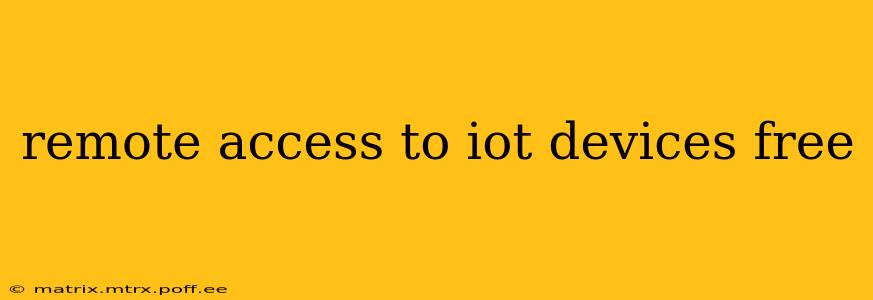 remote access to iot devices free
