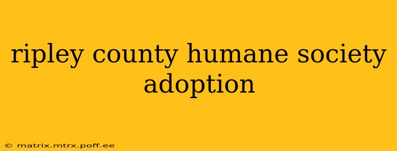 ripley county humane society adoption