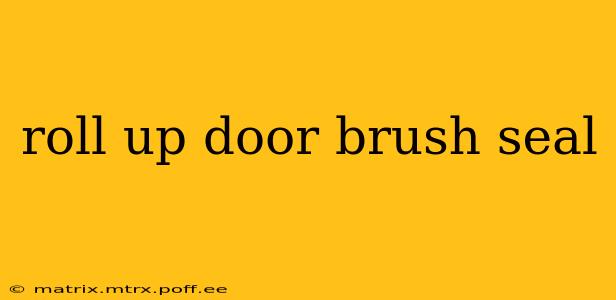 roll up door brush seal