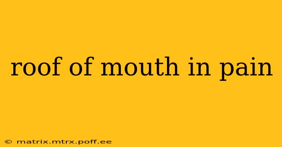 roof of mouth in pain