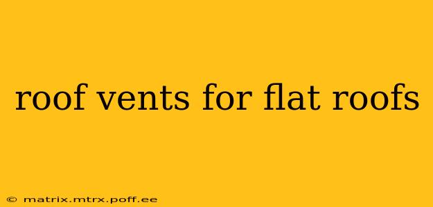 roof vents for flat roofs