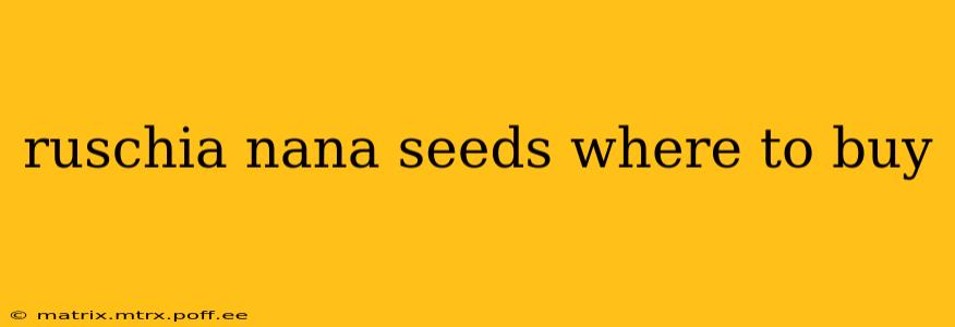ruschia nana seeds where to buy