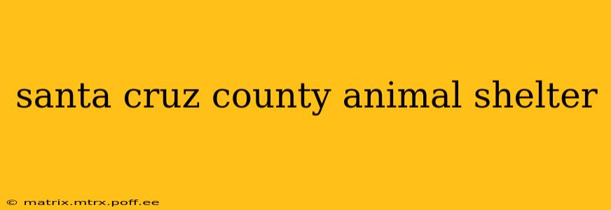 santa cruz county animal shelter