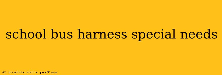 school bus harness special needs