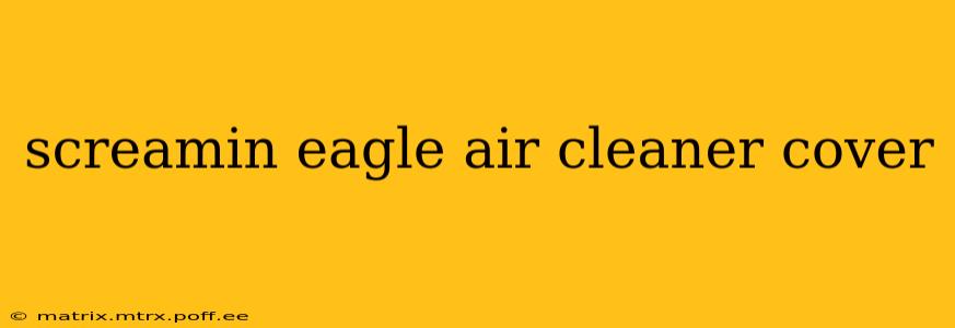 screamin eagle air cleaner cover