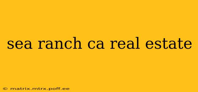 sea ranch ca real estate