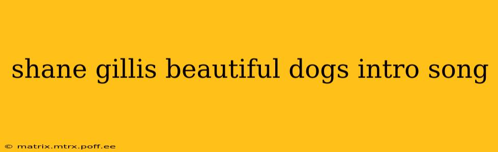 shane gillis beautiful dogs intro song