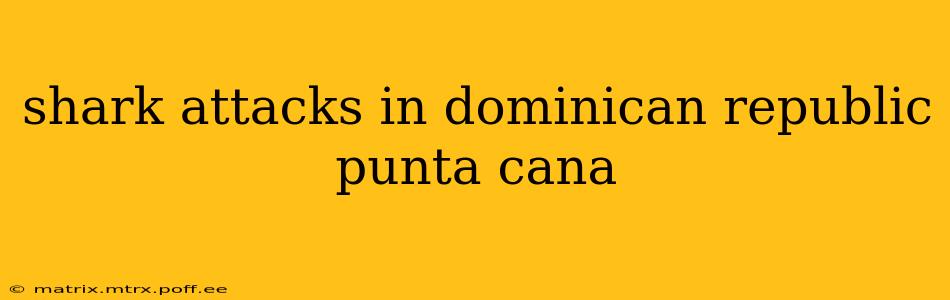 shark attacks in dominican republic punta cana
