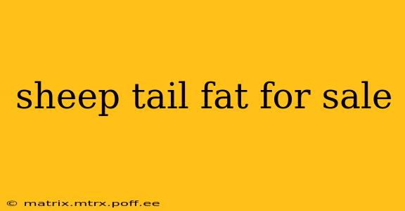 sheep tail fat for sale