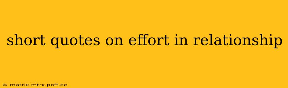 short quotes on effort in relationship