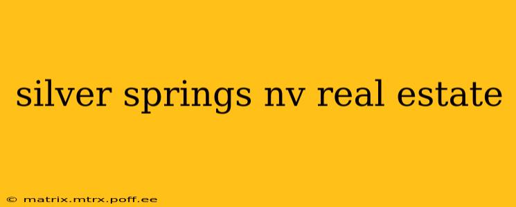silver springs nv real estate