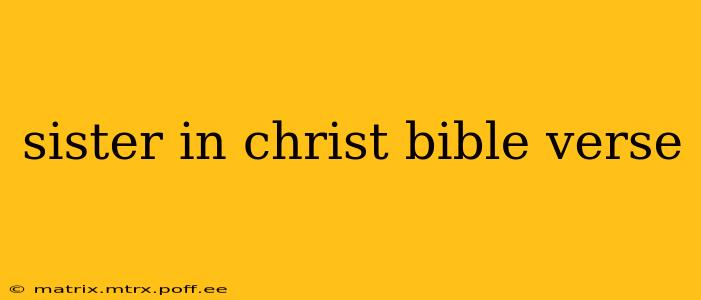 sister in christ bible verse