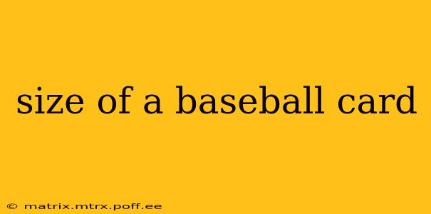 size of a baseball card