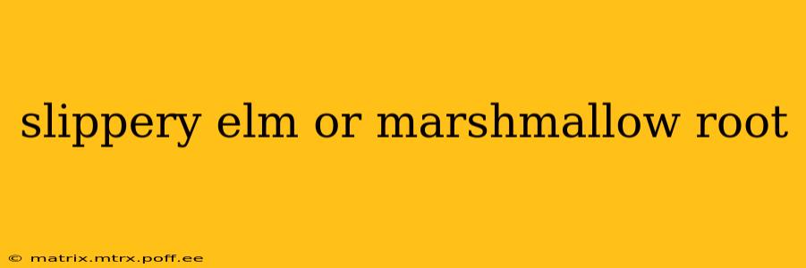 slippery elm or marshmallow root