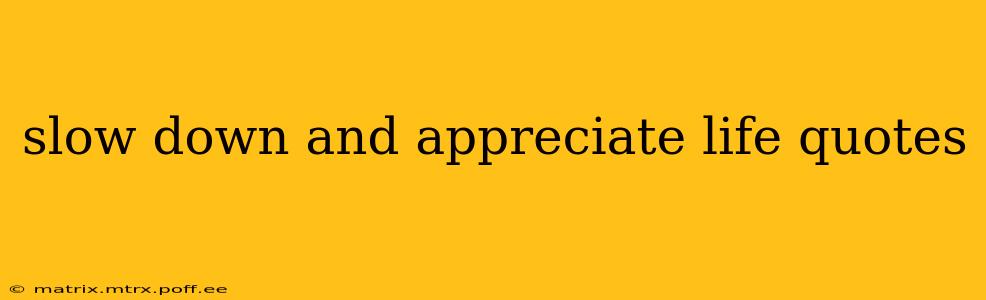 slow down and appreciate life quotes