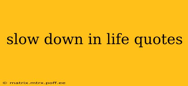 slow down in life quotes