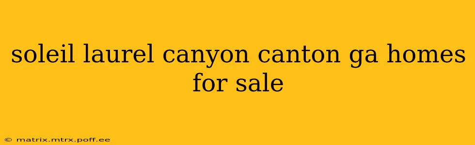 soleil laurel canyon canton ga homes for sale