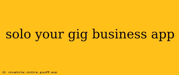 solo your gig business app