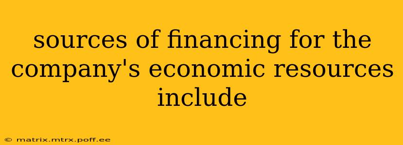 sources of financing for the company's economic resources include
