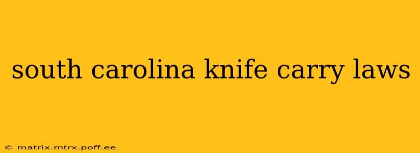 south carolina knife carry laws