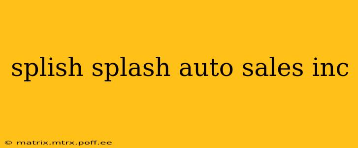 splish splash auto sales inc