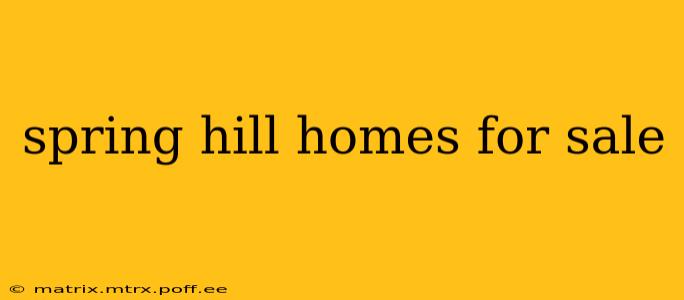 spring hill homes for sale