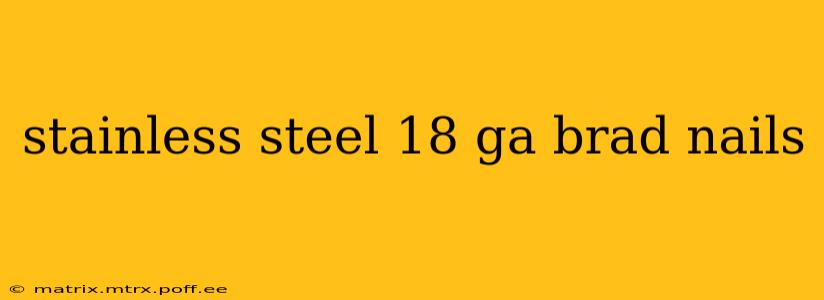 stainless steel 18 ga brad nails