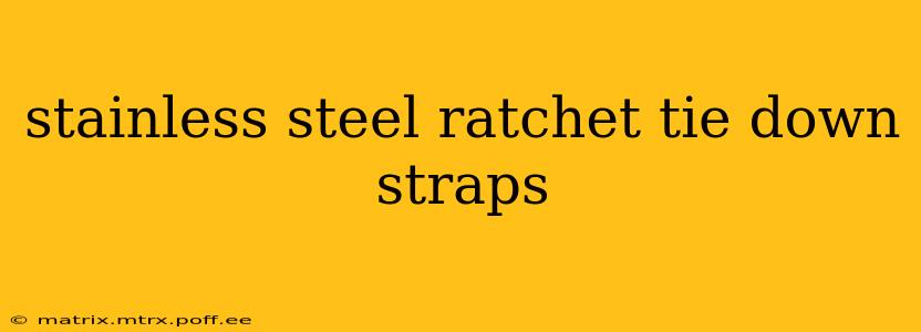 stainless steel ratchet tie down straps