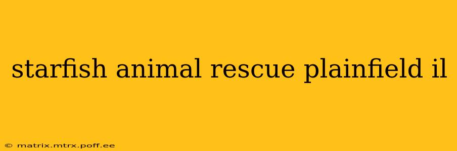 starfish animal rescue plainfield il