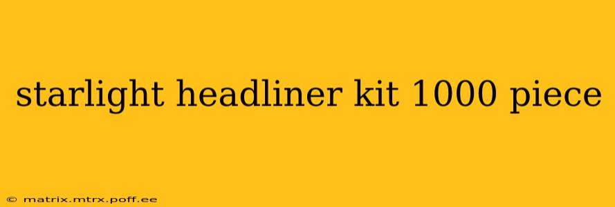 starlight headliner kit 1000 piece