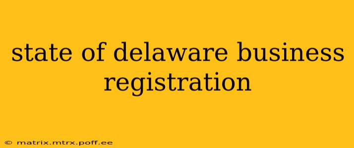 state of delaware business registration