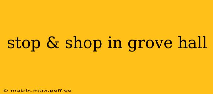 stop & shop in grove hall